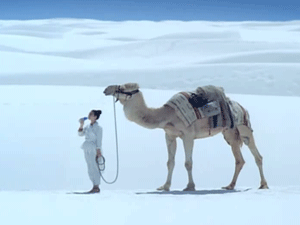 역대 포카리스웨트 모델.jpg | 인스티즈