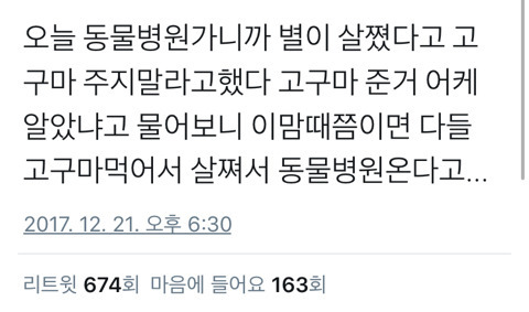 댕댕이들 동물병원가는 시즌 | 인스티즈