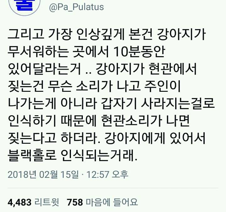 댕댕이에게 현관은 부정적인 장소다.twt | 인스티즈