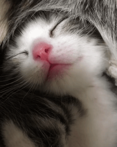 심장주의 | 인스티즈