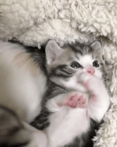 심장주의 | 인스티즈