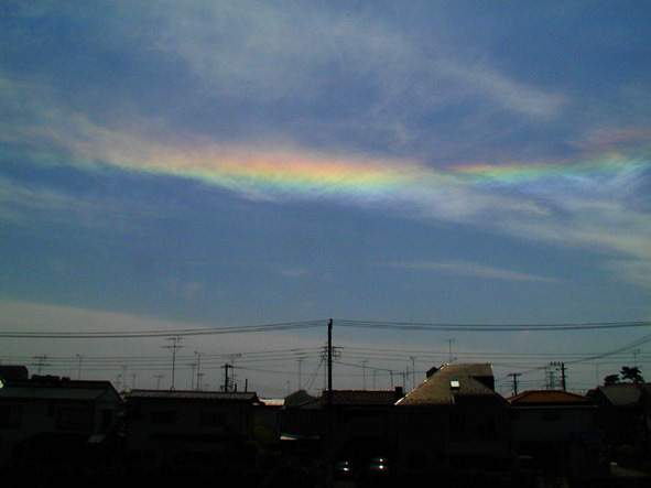 특이한 무지개들 | 인스티즈