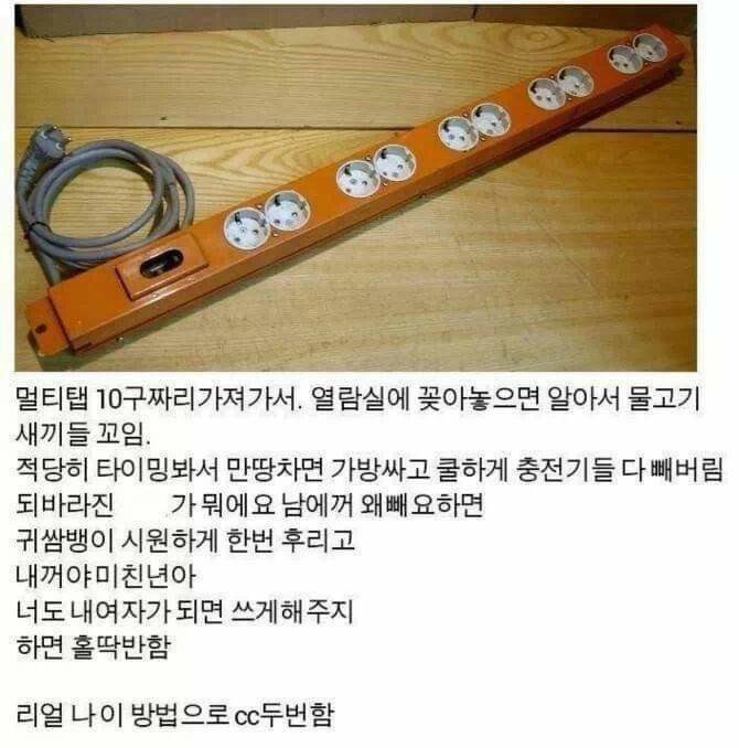 대학교 들어가는 99년생들을 위한 CC 만드는 팁 | 인스티즈