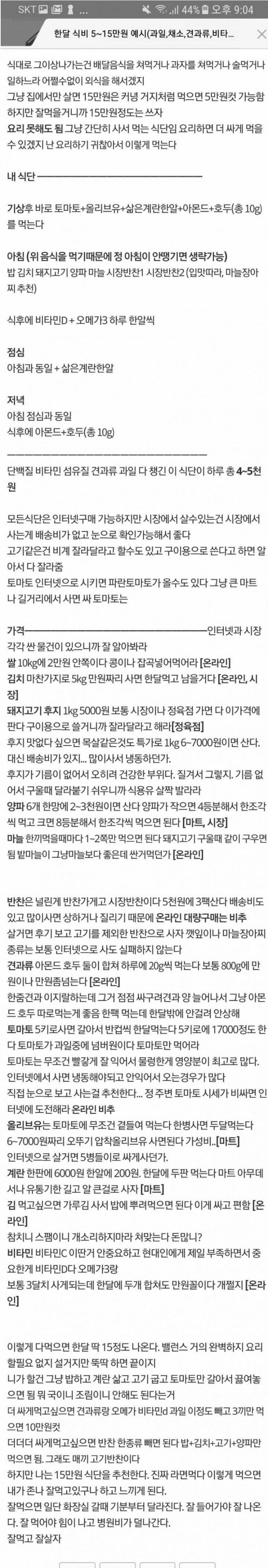 한달 식비 5~15만원으로 건강 챙기는법 | 인스티즈