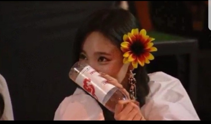 아이유 덕후 트와이스 .gif | 인스티즈