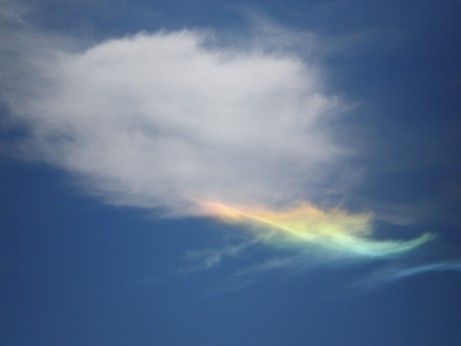 특이한 무지개들 | 인스티즈