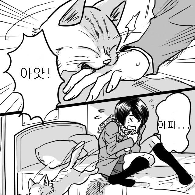 공포만화] 고양이의 눈 | 인스티즈