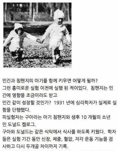 현대에는 불가능한 실험 | 인스티즈