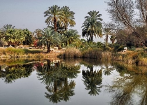 사막 한가운데 오아시스 jpg | 인스티즈