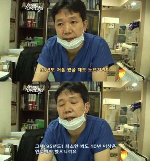 세상에 이런일이에 나온 강아지 나이 | 인스티즈