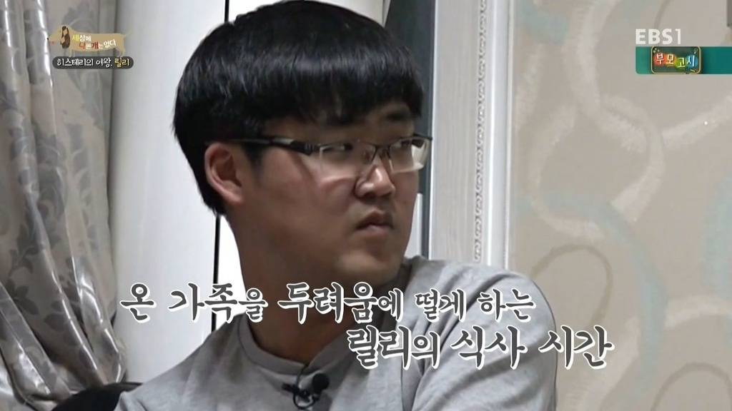 [세상에나쁜개는없다] 가족들에게 짖고 무는 강아지 릴리햏 | 인스티즈