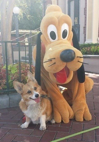 사람들이 광주 얘기 할 때 흔히들 실수하는 것! | 인스티즈