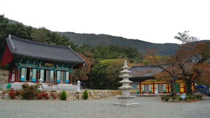 한적하고 마음이 편안해지는 절 풍경 | 인스티즈