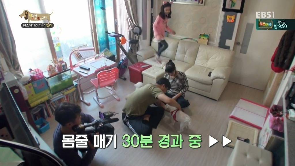 [세상에나쁜개는없다] 가족들에게 짖고 무는 강아지 릴리햏 | 인스티즈