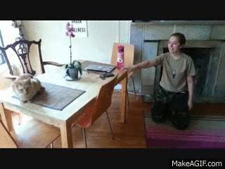 파병갔다온 군인 맞이하는 댕댕이vs냥이...gif | 인스티즈