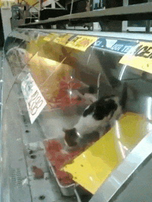 설날 아침엔 역시 | 인스티즈