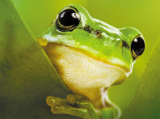 여성들이 말하는 대화가 잘 통하는 남자 [유희열曰] | 인스티즈