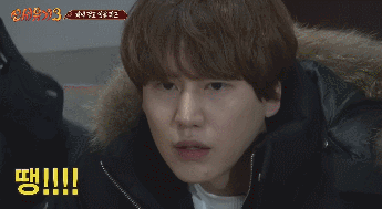 대선배 이름몰라서 사과하는 규현.gif | 인스티즈