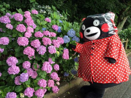 일본 연예인 코디 중에 제일 힘들것같은 코디 | 인스티즈