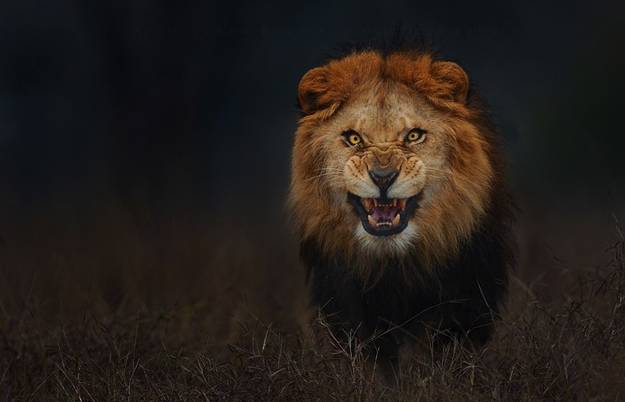 둘중에 더 최악인 상황은? | 인스티즈