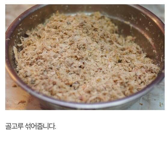 길고양이에게 정성스러운 먹이를 준비해보았다 | 인스티즈