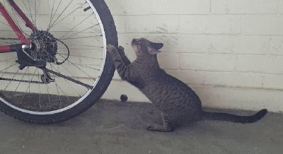 설날 아침엔 역시 | 인스티즈