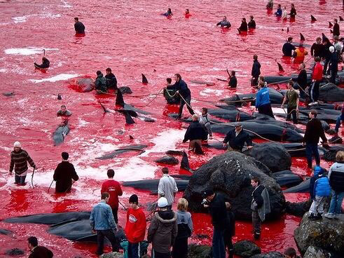 유럽 찐따들 특징 | 인스티즈