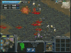 30대 프로게이머의 꿈을 이뤘던 임요환 | 인스티즈