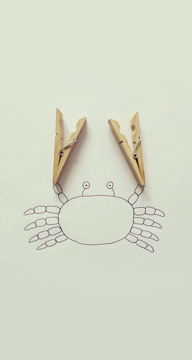 줍줍한 휴대폰 배경화면 | 인스티즈