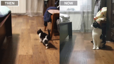 설날 아침엔 역시 | 인스티즈