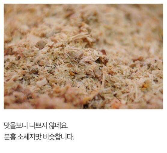 길고양이에게 정성스러운 먹이를 준비해보았다 | 인스티즈