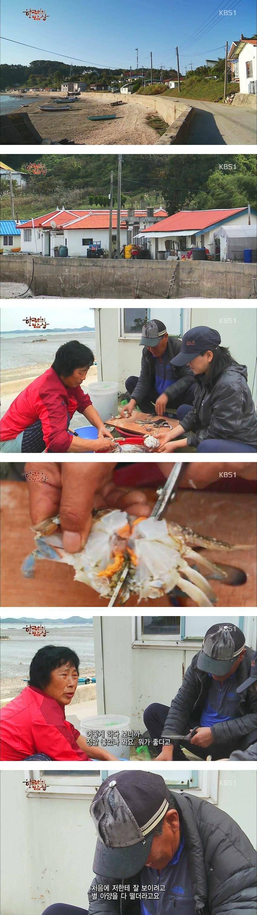 한국인의 밥상 - 꽃게- | 인스티즈