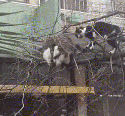 성욕이 부른.. | 인스티즈