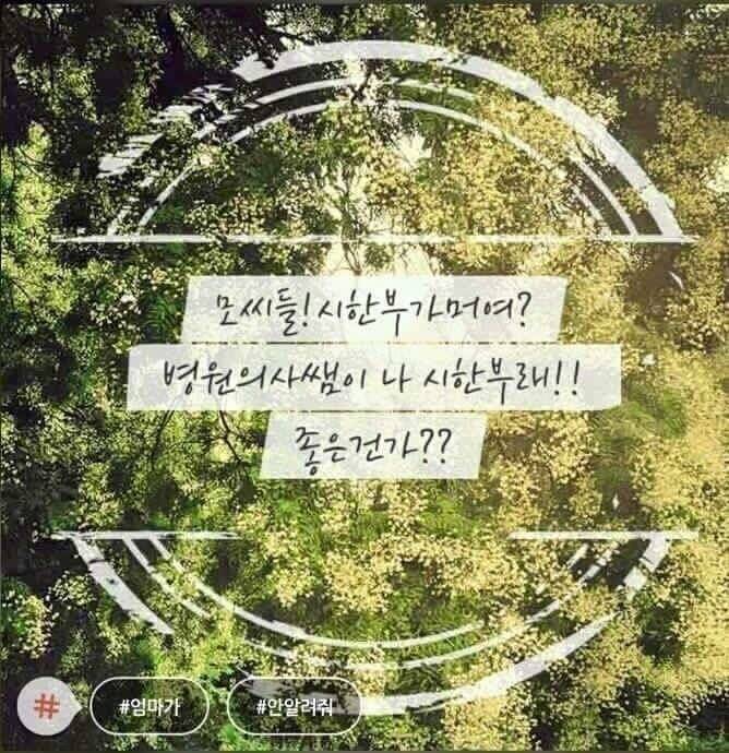 #이렇게 #하면 #되는건가? | 인스티즈