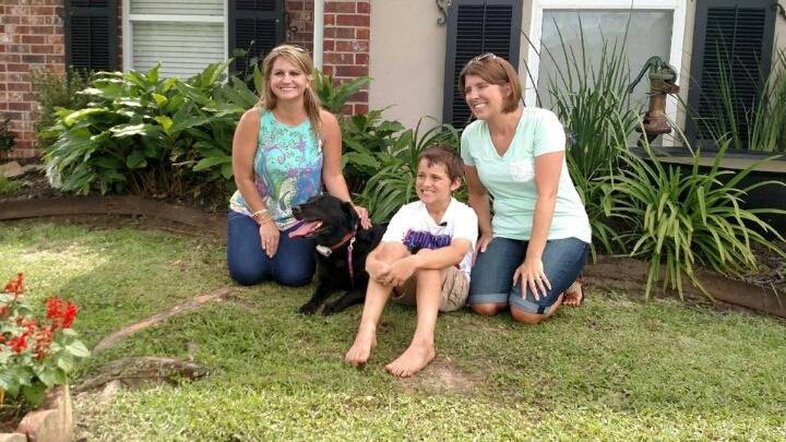 이웃집 개가 너무 안고싶어서 몰래 안아주고 도망간 아이.twt | 인스티즈
