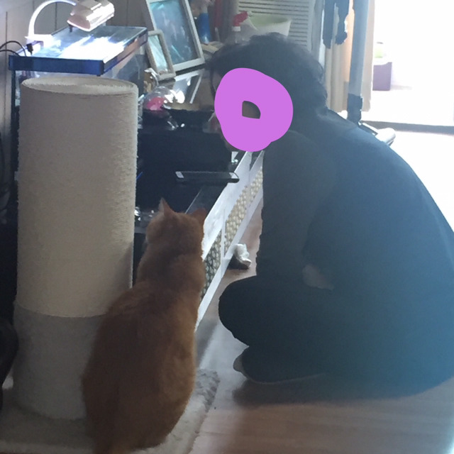 우리집 고양이 밤샜나봐 어뜨케 | 인스티즈