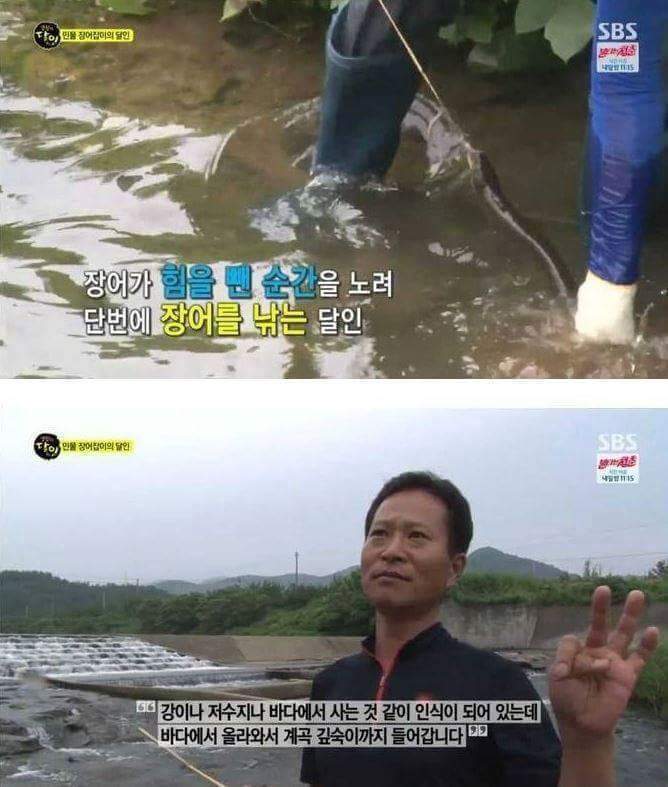 자연산 장어의 위엄 | 인스티즈