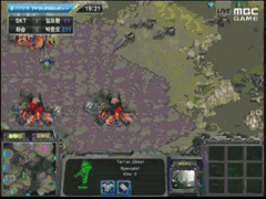 30대 프로게이머의 꿈을 이뤘던 임요환 | 인스티즈