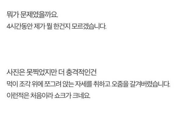 길고양이에게 정성스러운 먹이를 준비해보았다 | 인스티즈