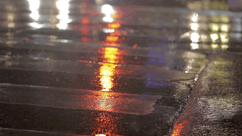 공시생이라면 공감할 글 | 인스티즈