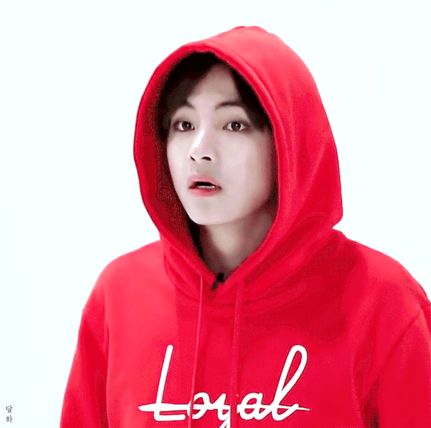 [방탄소년단] 애완동물 일곱 마리와 나 09 | 인스티즈