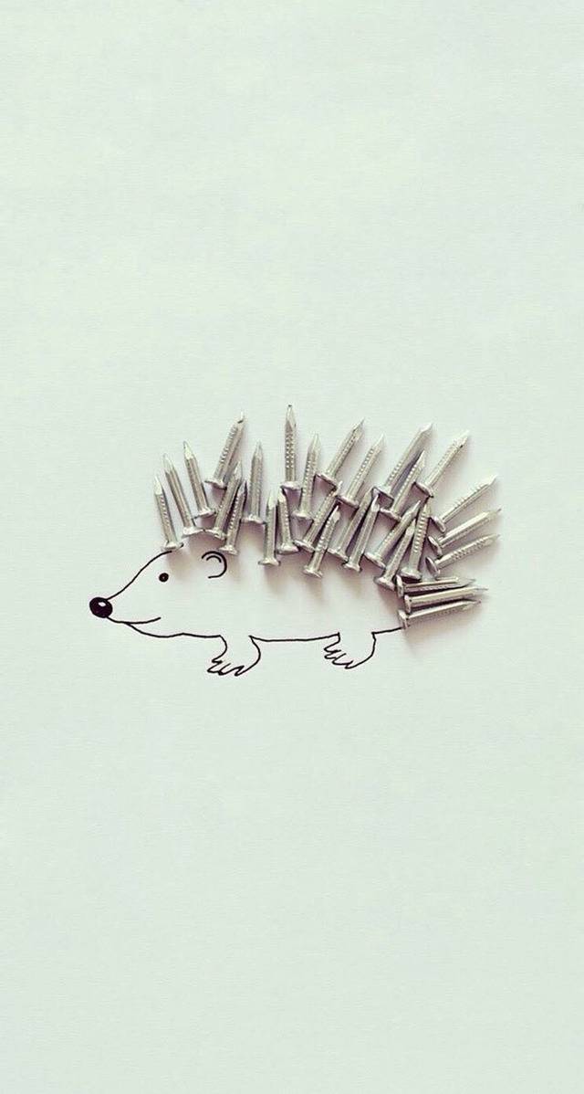 줍줍한 휴대폰 배경화면 | 인스티즈