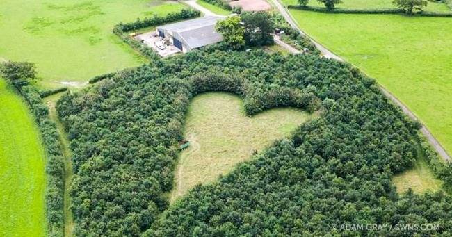 20년전 먼저 간 아내를 위한 70대 농부의 선물... | 인스티즈