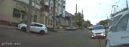 불곰국의 흔한 상남자들.gif | 인스티즈