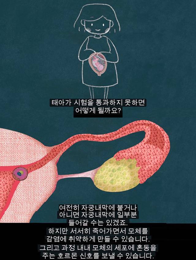 생리는 결코 오지 않는 정자를 기다리다 아기집을 허무는 과정이 아니다 | 인스티즈