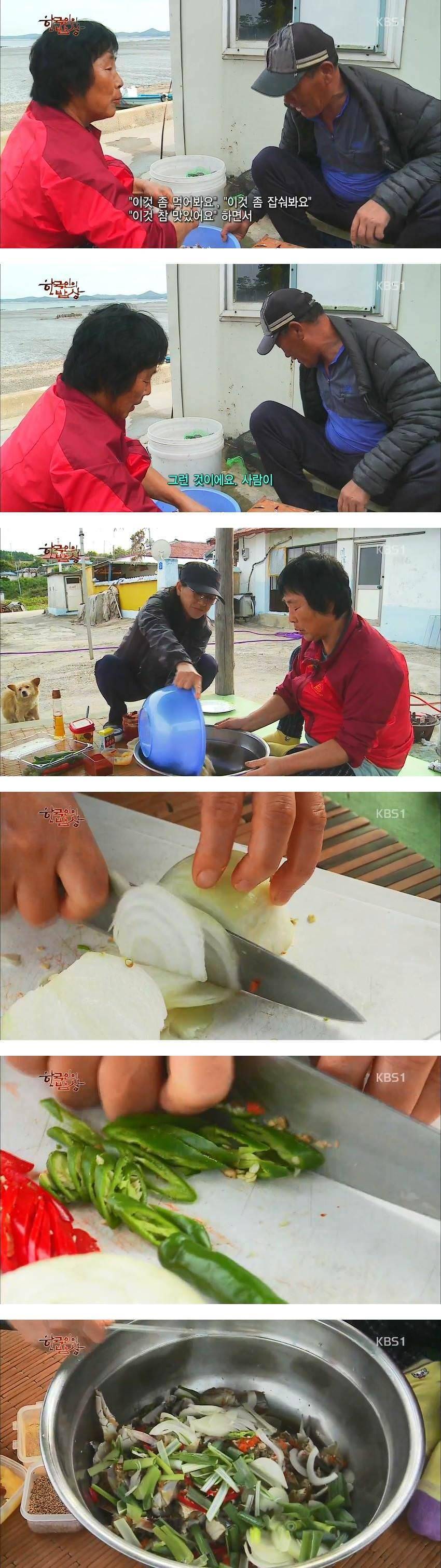 한국인의 밥상 - 꽃게- | 인스티즈