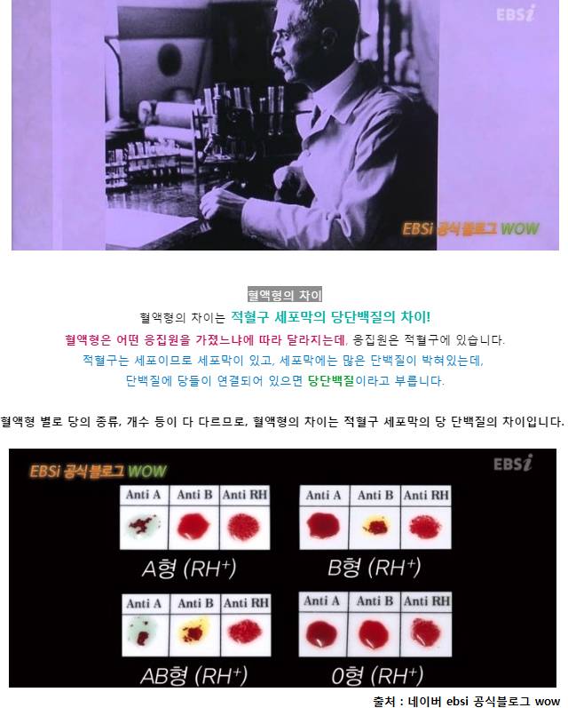 혈액형별 성격분석법 = 나치의 민족우월주의 + 일제의 잔재 | 인스티즈
