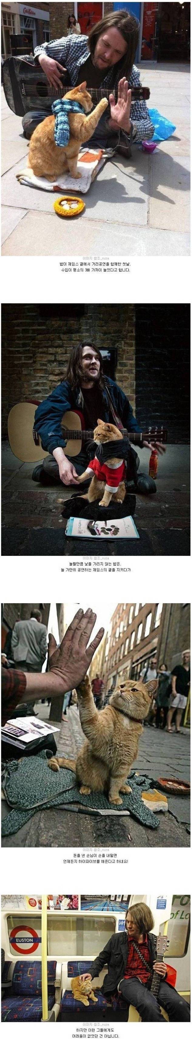 노숙자와 길고양이 이야기 | 인스티즈