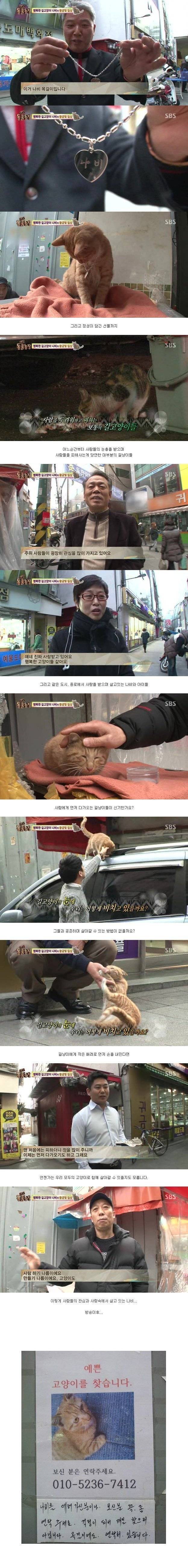 행복한 길고양이 나비.jpg | 인스티즈