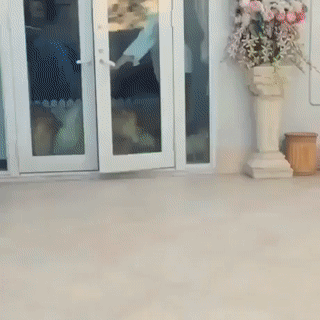 포메 유치원 | 인스티즈